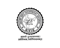 logo3
