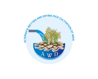 logo5